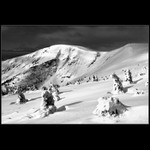 Nad Kotelskou roklí