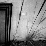 Tak jsem jí nabídl rámě