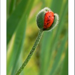 Za chvíli jsem venku