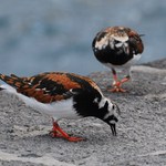 něco nech i pro mne !!