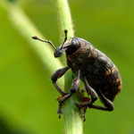 Chcem sa stať požiarnikom...