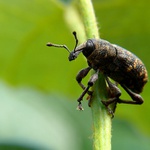 po druhý krát budúci požiarnik