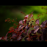 ***BYL TAM SÁM MEZI VŠEMI***