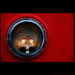 Mr. & Mrs. Lightbulb