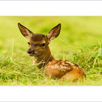 První pohled na svět