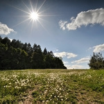 pozdní májová II.