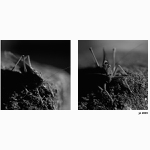 = Kdyz uz nevim co by ... =