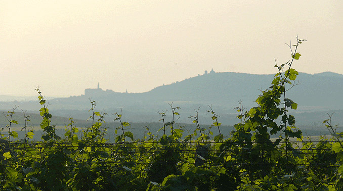 Mikulov a svatý kopeček