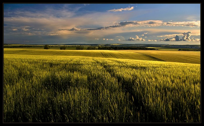 Roľníkovo more