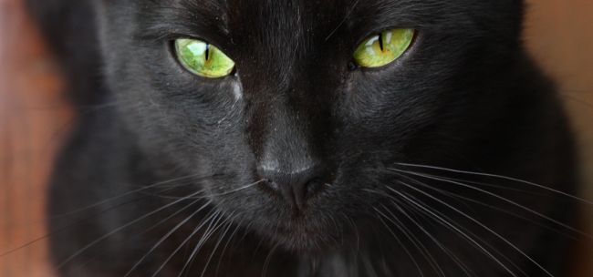 Dej už s tím foťákem pokoj, nebo...