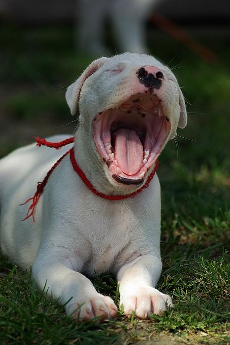 Tu je nuuudaaaaaaaaaa