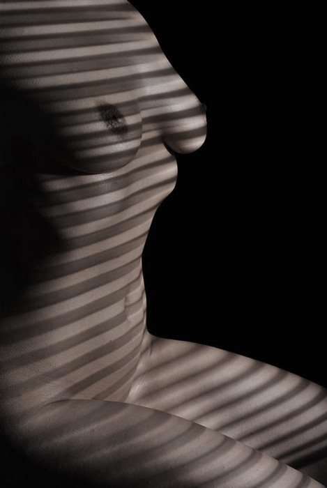 zebra...