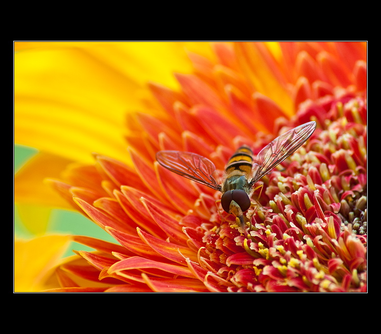 Neruš, musím si to tu vychutnat!
