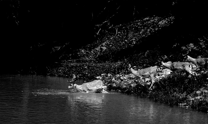 = Holky, jde se do vody =