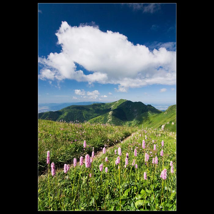 Z courání po hřebenech Malé Fatry I.