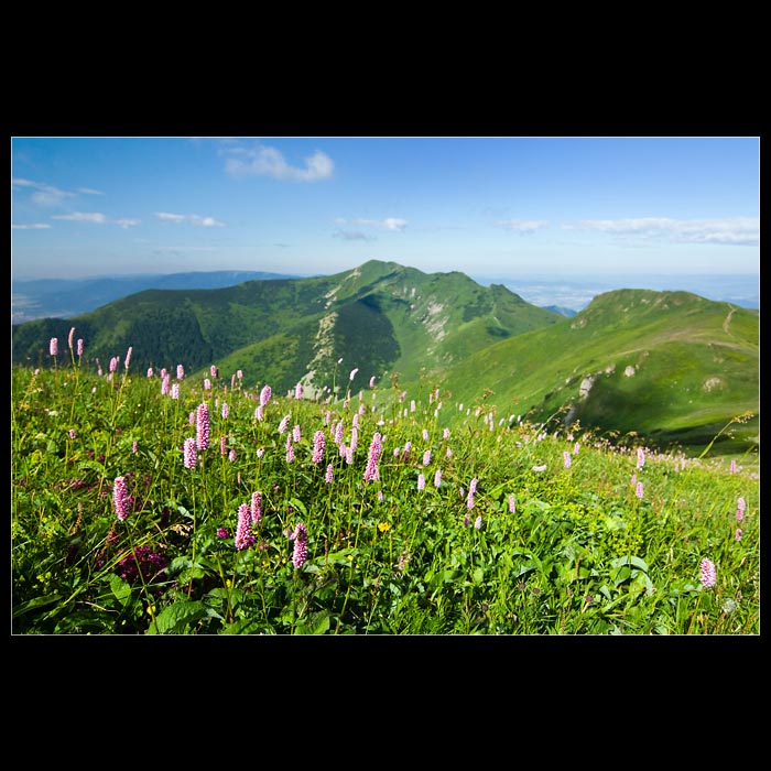 Z courání po hřebenech Malé Fatry III.