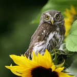 Já jsem tady asi omylem...