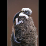 10. den.... zatím žiju