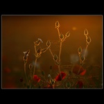 Paličkové povídání..