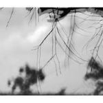 _ _______