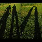 byl jednou jeden pár...