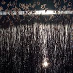 Co se děje v rákosí.