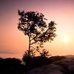 NP Sachsische Schweiz