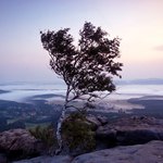 NP Sachsische Schweiz II.