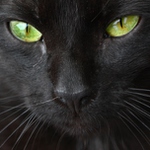 Dej už s tím foťákem pokoj, nebo...