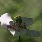 ON a jeho druhé JÁ