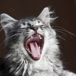 uáááá, teplíčko co...