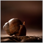 ...mám jedno oko dlouhé :)...