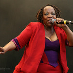 Colours of Ostrava - Johnny Clegg band