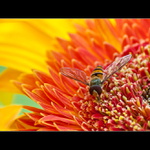 Neruš, musím si to tu vychutnat!