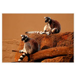 *** BRÁCHO, VIDÍŠ JAK NA NÁS ZASE BLBĚ ČUMÍ... ***