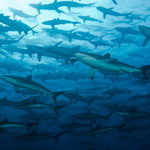 Ještě to existuje!!!!!!