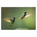 Malá letová studie