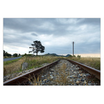 V Českém středohoří