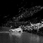 = Holky, jde se do vody =