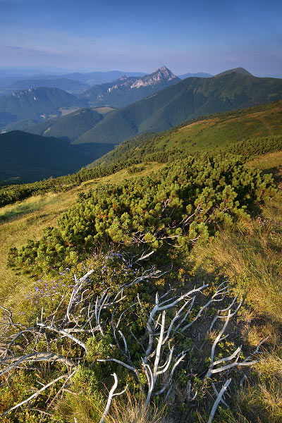 Od kleče k Rozsutci