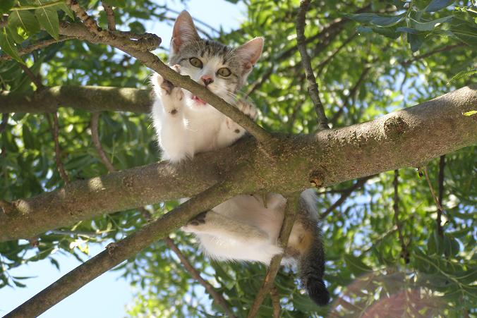 Drží se zuby nehty