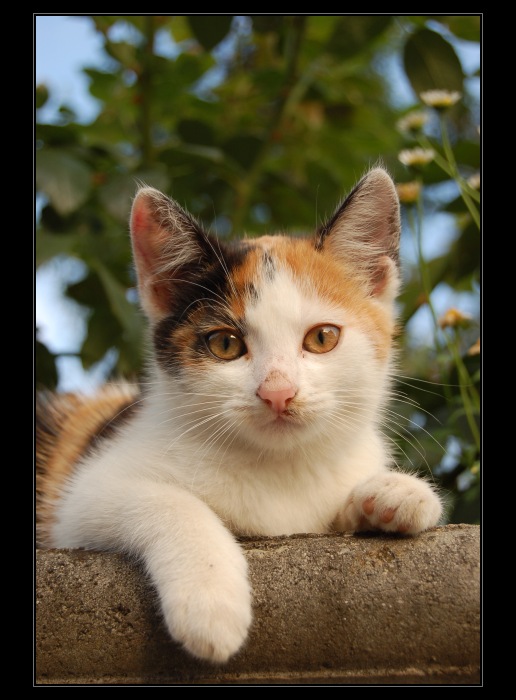 ♥ Majdalenka ♥