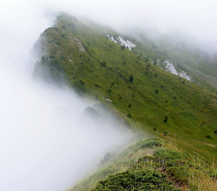 Před mlhou, za mlhou...