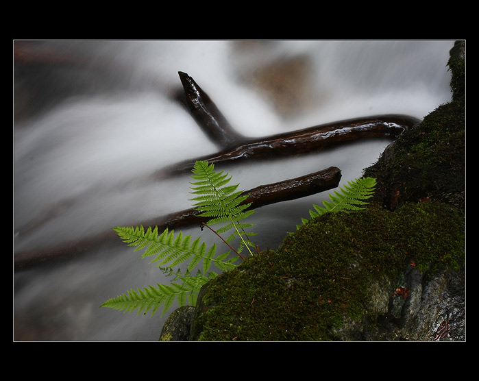 Fragmenty Stříbrného potoka