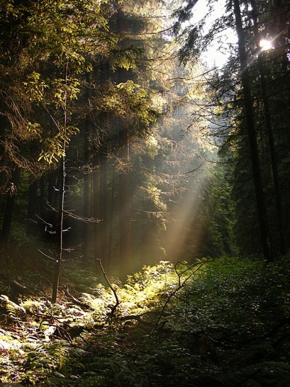 I saw the light!