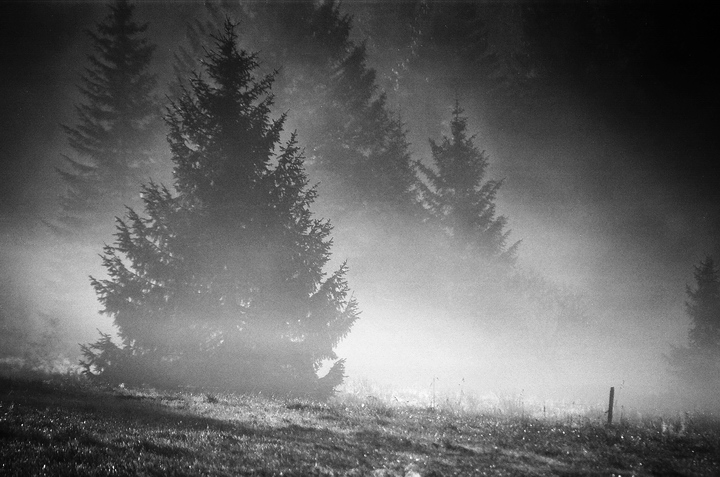 Šumavské střípky