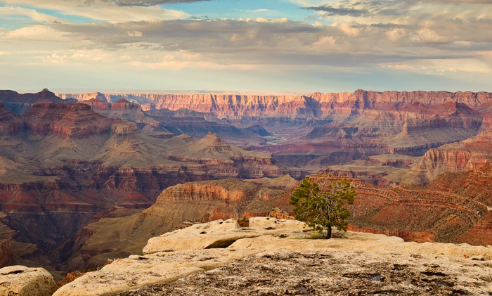 South Rim