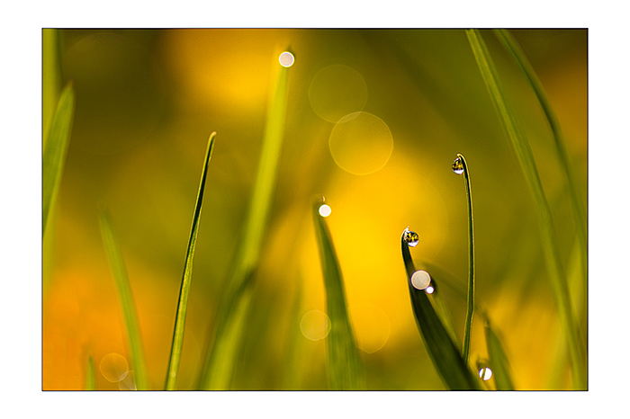 ..Malé drobnosti kolem nás..