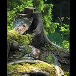 .: STAŘEC V MECHU :.