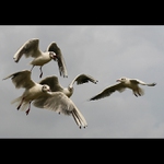 Rozhovor v oblacích